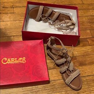 Carlos santana flats